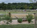 Courses_Jeunes_2013 -  (106)